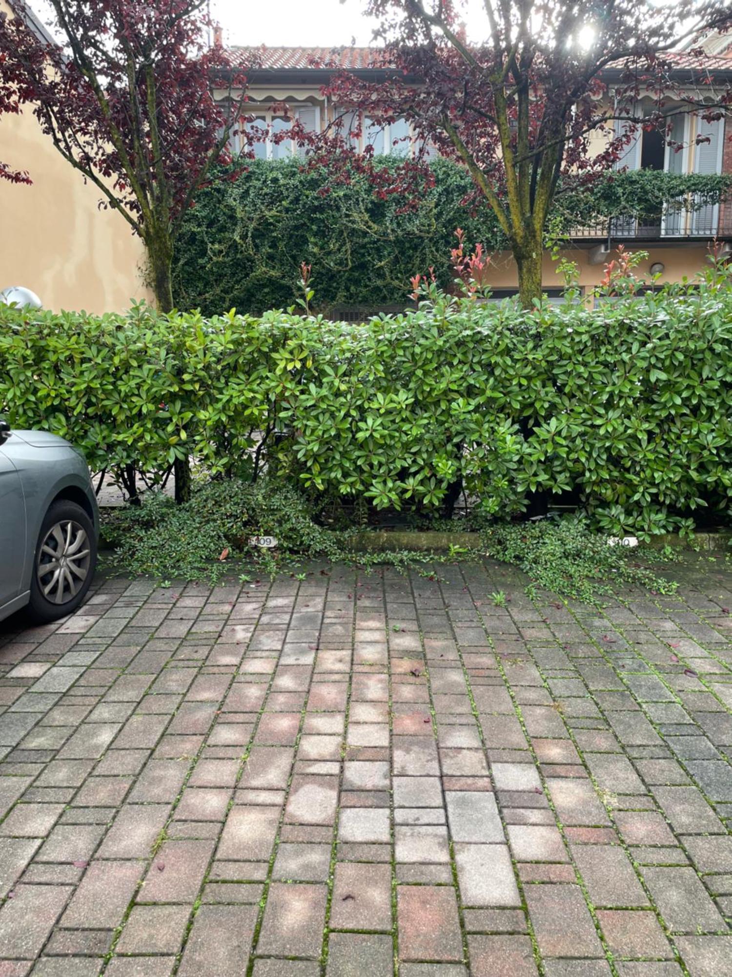 Gelsomino Appartamento Con Posto Auto Nel Centro Di Monza Exterior foto